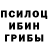 Псилоцибиновые грибы Magic Shrooms Goldking44