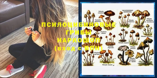 сатива Абинск